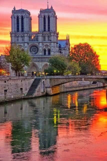 Notre-Dame Cathedral