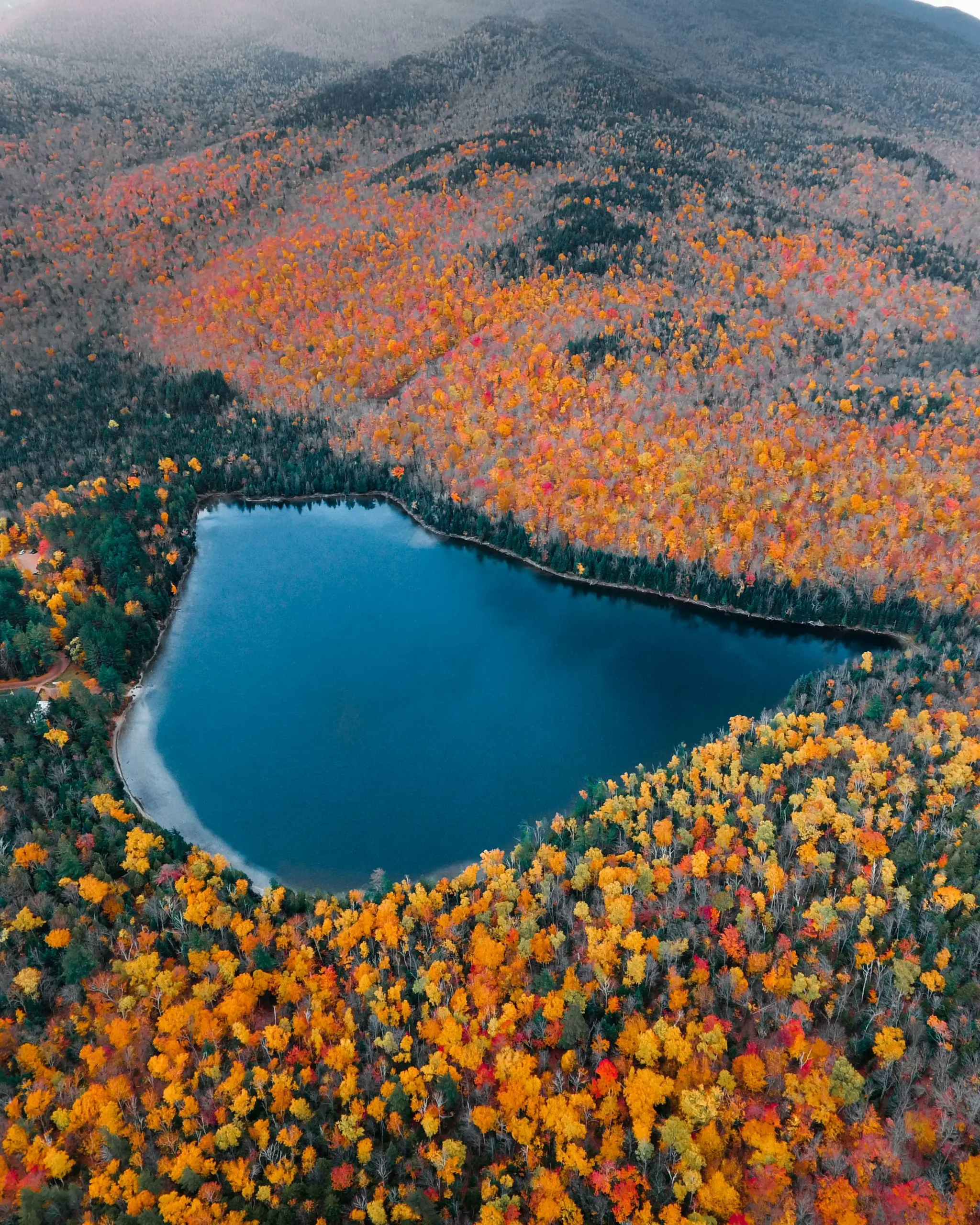 Vibrant fall foliage in a Canadian forest