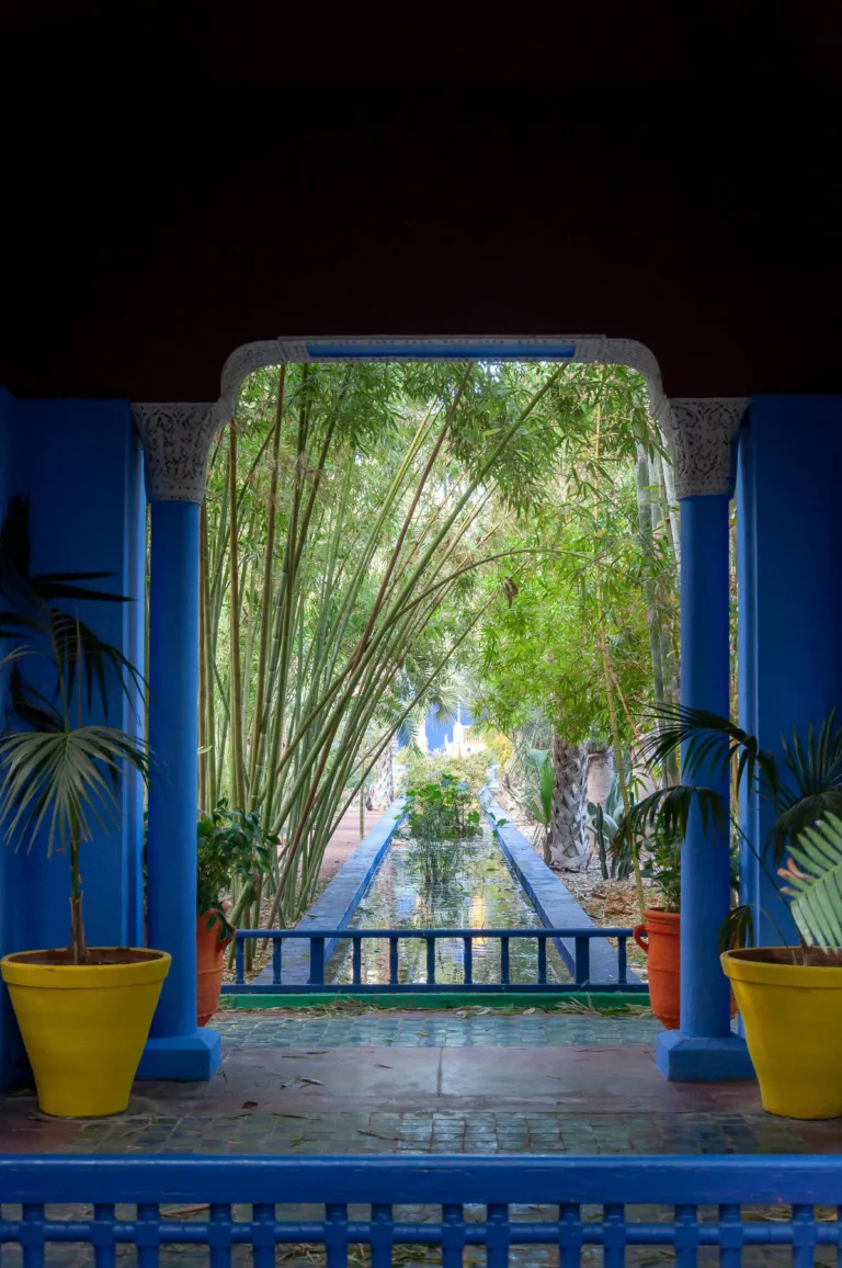 Marrakech travel guide - A beautiful view of Jardin Majorelle, one of the must-visit spots in Marrakech, Morocco."